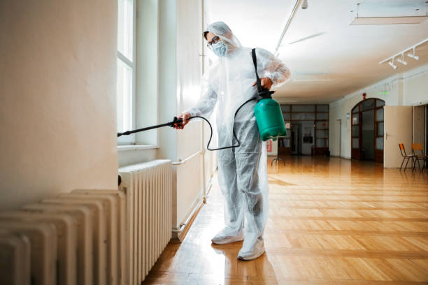 Pest Control Service